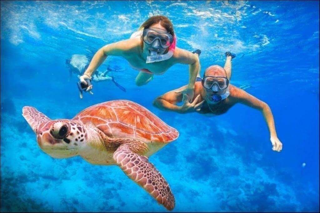 Snorkelēšana Tenerifē - skaidri ūdeņi un piedzīvojums Vanilla Travel kruīzā