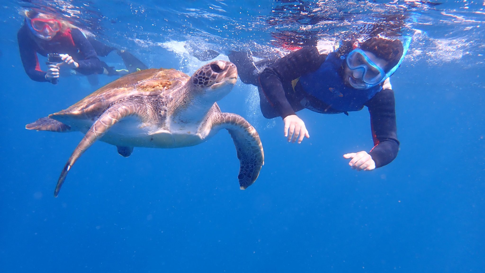 Snorkelēšana Tenerifē – kristāldzidrs ūdens un piedzīvojumi Vanilla Travel kruīzā